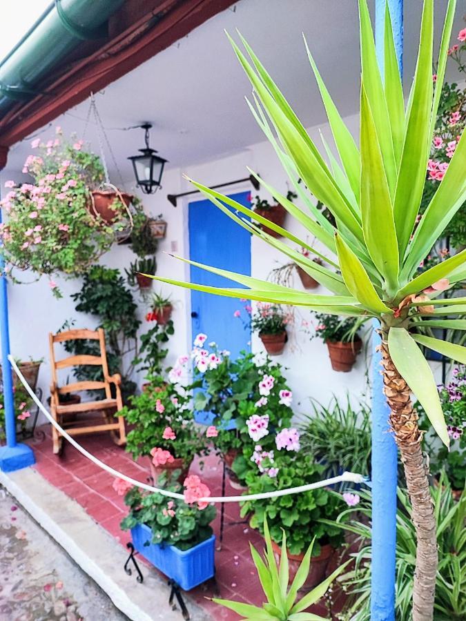 Apartamento Alcazar San Basilio قرطبة المظهر الخارجي الصورة