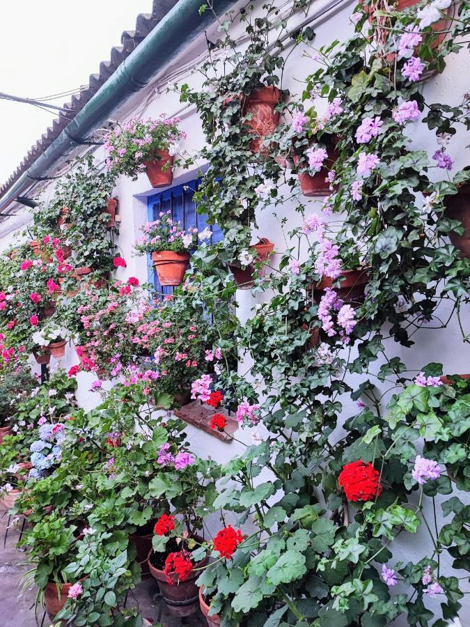 Apartamento Alcazar San Basilio قرطبة المظهر الخارجي الصورة