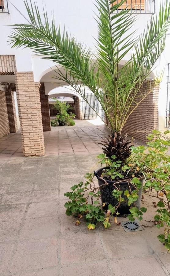 Apartamento Alcazar San Basilio قرطبة المظهر الخارجي الصورة